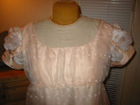 1823 Bodice Closeup