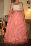 underskirt