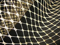 net