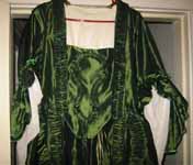 stomacher